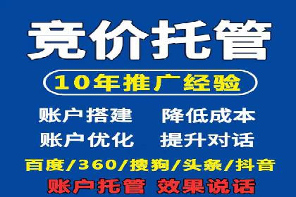 百度推广费用投入与品牌知名度提升的案例分析